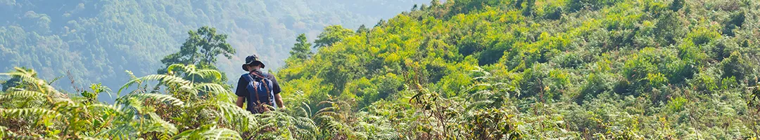 A Time-Honoured Botanical for Urinary Wellness
