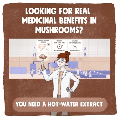 Medicinal Mushrooms