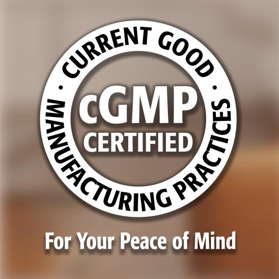 Beef Bone Broth Protein + Organic Fermented Ginger